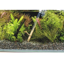 Aquarium mit Kies und Pflanzen