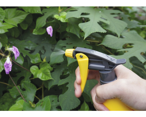 Pulvérisateur utilisé pour l''entretien des plantes