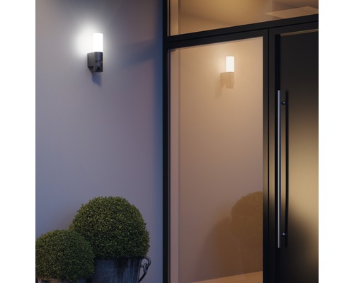 Aussenaufnahme mit zwei Wandleuchten neben einer Haustür und Pflanzen.
