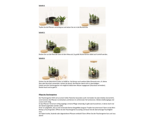 Anleitung zur Erstellung eines Flaschengartens mit Pflanzen, Erde, Moos und Dekosteinen in einem Glasgefäß