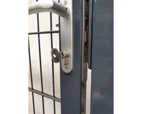 Portail avec poignée de porte, serrure et clé