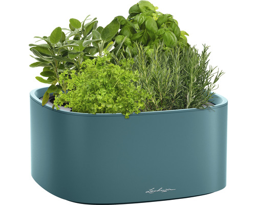 Blumenkasten mit Kräutern wie Salbei, Petersilie, Basilikum und Rosmarin