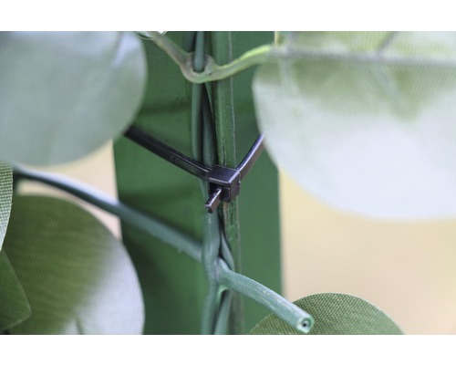 Gros plan sur la fixation d''un serre-câble sur un mur végétal vert