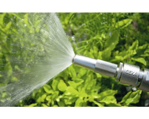 Tuyau d''arrosage avec tête d''arrosage arrosant des plantes
