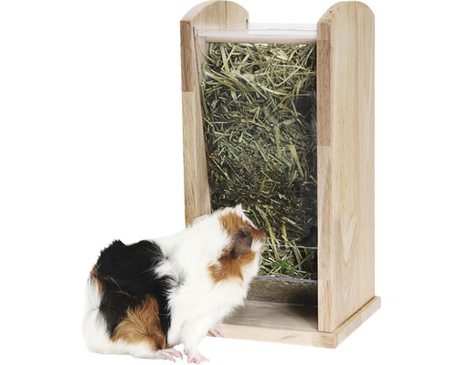 Râtelier à foin en bois avec cochon d''Inde