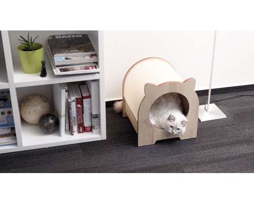 Chat dans une maison pour chat avec surface à gratter à côté d''une étagère.