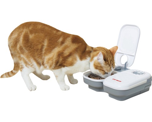 Katze frisst aus einem Futterautomaten