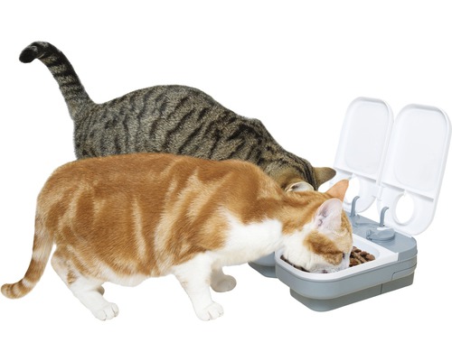 Zwei Katzen fressen aus einem grauen Futterautomaten