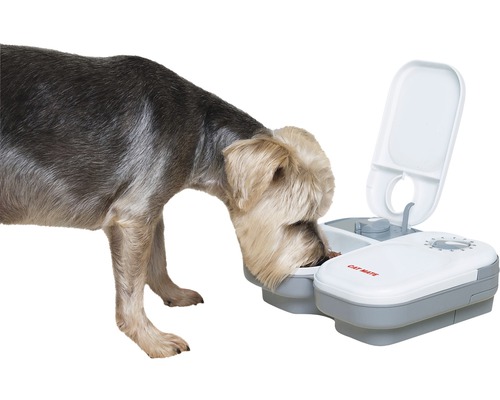 Hund frisst aus Futterautomat