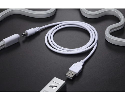 Accessoire Neon Flex avec prise USB