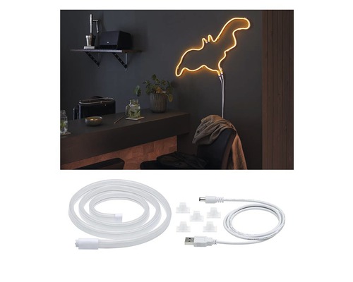 Tube flexible néon LED en forme de chauve-souris et accessoires