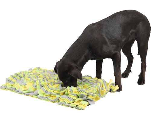 Ein brauner Hund sucht auf einer interaktiven Futtersuchmatte nach Futter.