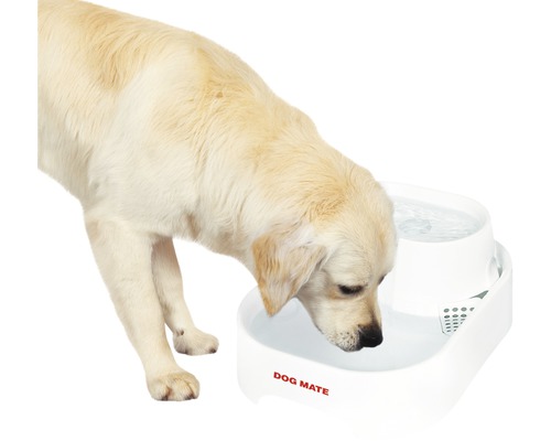 Ein Hund trinkt aus einem Trinkbrunnen der Marke Dog Mate.