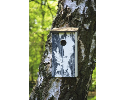 Vogelhaus an einem Baumstamm mit Einflugloch