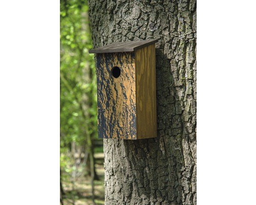 Nichoir en bois fixé sur un tronc d''arbre