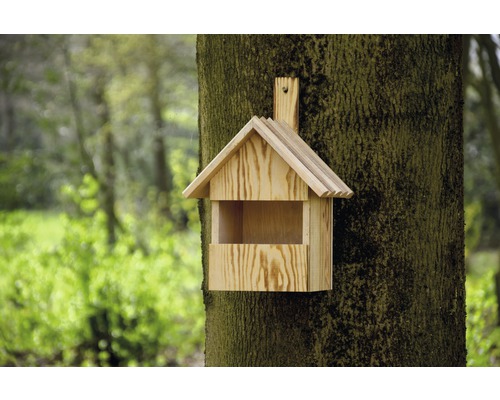 Nichoir en bois fixé sur un tronc d''arbre