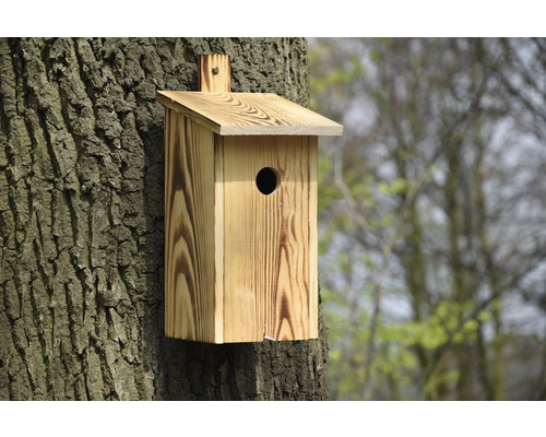 Holz-Nistkasten an Baumstamm montiert