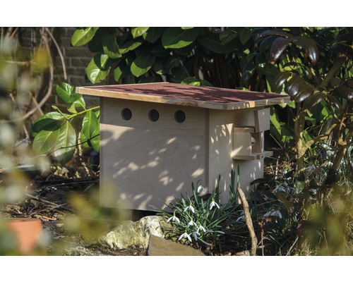 Nichoir en bois avec carton bitumé dans le jardin