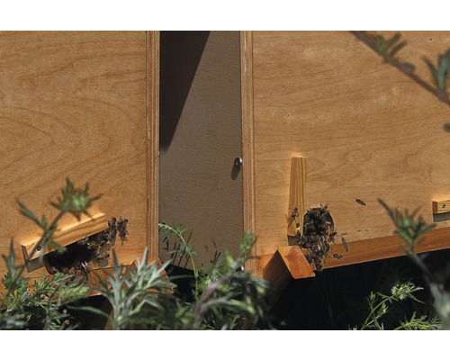 Bienenhaus aus Holz mit Bienen