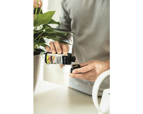 Une personne dose de l''engrais pour fleurs à partir d''une bouteille à côté d''une plante d''intérieur.