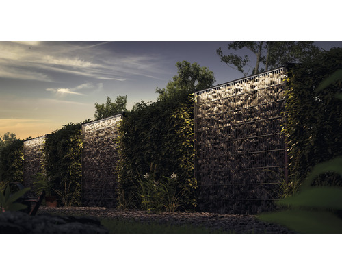 Mur de gabions avec végétation dans le jardin