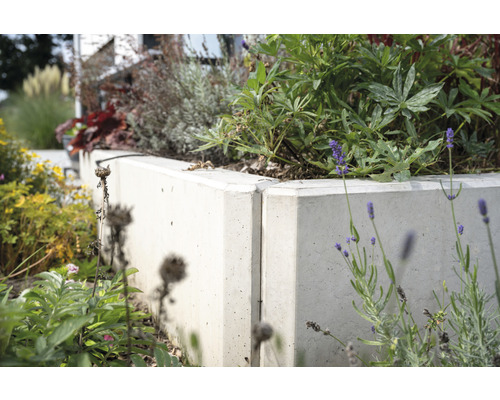 Hochbeet aus Beton mit Bepflanzung im Garten.