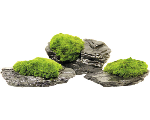 Dekorative Steine mit Moos für Aquarien