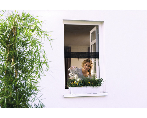 Frau giesst Blumen in einem Blumenkasten auf einer Fensterbank.