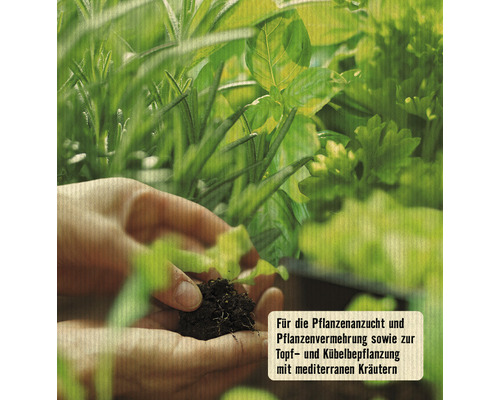 Hände halten einen Erdklumpen vor Kräutern zur Pflanzenanzucht