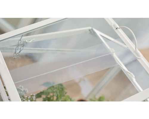 Detailansicht eines Mini-Gewächshauses mit transparenten Scheiben und Pflanzen