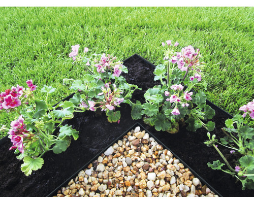 Gros plan de géraniums roses, de terre et de gravier dans une bordure de jardin