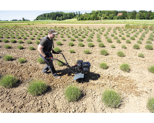 Homme travaillant avec une motobineuse dans un champ.