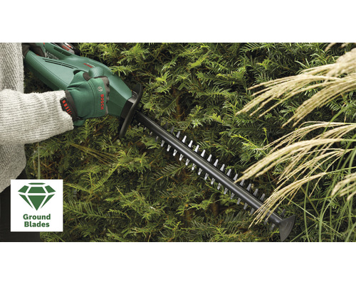 Une personne utilise un taille-haie pour tailler une haie, avec le symbole des lames affûtées visible sur l''image.