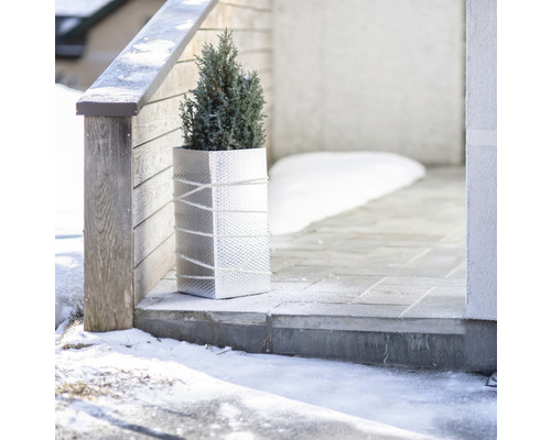 Pot de fleurs décoratif avec plante devant une maison