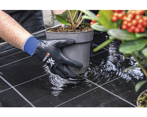 Person trägt Pflanze in einem Topf mit KinetiXx-Gartenhandschuhen