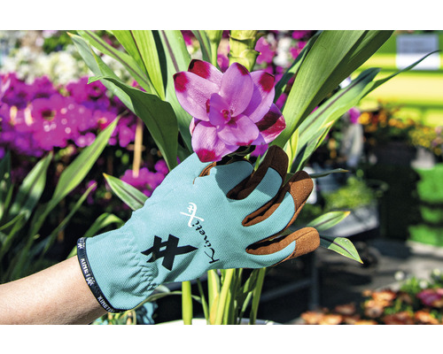 Eine Hand in einem Gartenhandschuh berührt eine rosa Blume.