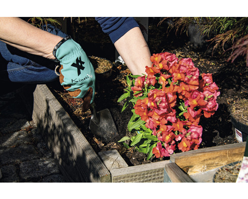 Eine Person pflanzt mit Handschuhen und einer Schaufel eine Blume in ein Hochbeet.