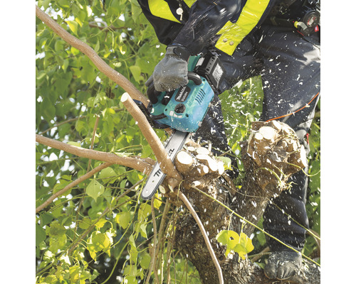 Homme coupant un arbre avec une tronçonneuse à batterie Makita