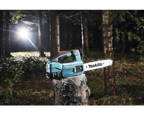 Tronçonneuse à batterie de la marque Makita sur une souche d''arbre dans la forêt