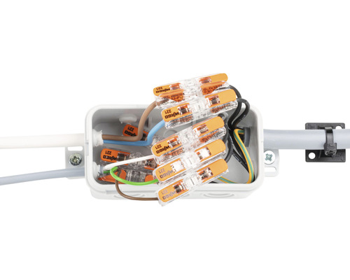 Installationsdose mit elektrischen Leitungen und Wago Klemmen