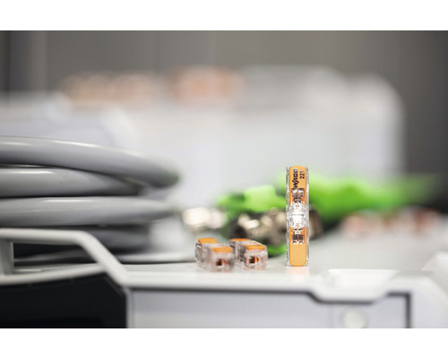 Wago Logo Verbindungsklemmen für elektrische Leitungen