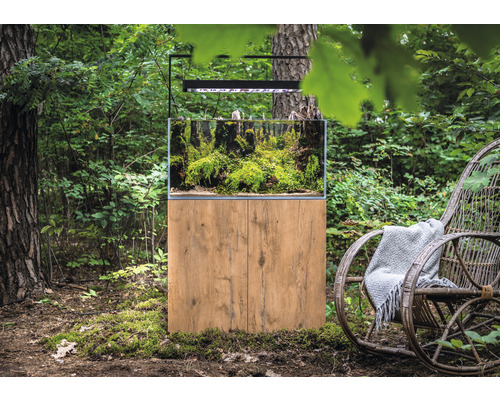 Aquarium avec meuble bas et plantations dans un environnement naturel