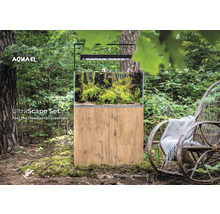 Aquarium-Set mit Pflanzen und Holzboden im Wald