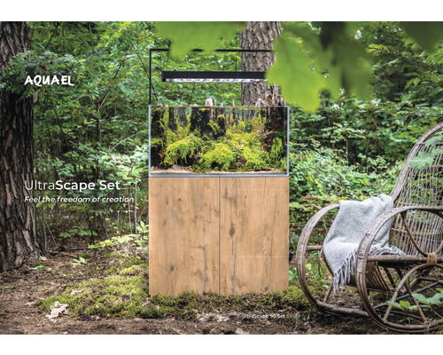 Aquarium-Set mit Pflanzen und Holzboden im Wald