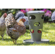 Hühner Futterturm beeztees Grau 30 x 30 x 36 cm recycelter Kunststoff-thumb-8