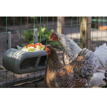 Hühner Futtertrog Feeder beeztees Grau 30 x 14 x 13 cm recycelter Kunststoff-thumb-7