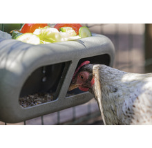 Hühner Futtertrog Feeder beeztees Grau 30 x 14 x 13 cm recycelter Kunststoff-thumb-6