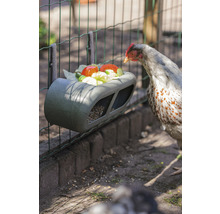 Hühner Futtertrog Feeder beeztees Grau 30 x 14 x 13 cm recycelter Kunststoff-thumb-10