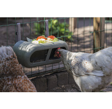 Hühner Futtertrog Feeder beeztees Grau 30 x 14 x 13 cm recycelter Kunststoff-thumb-8