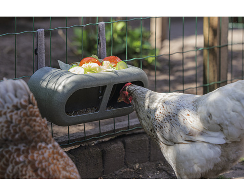 Hühnerfutterstation zur Befestigung am Zaun mit Hühnern